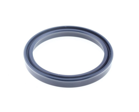 Sealing ring, Image 2