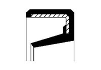 Sealing ring