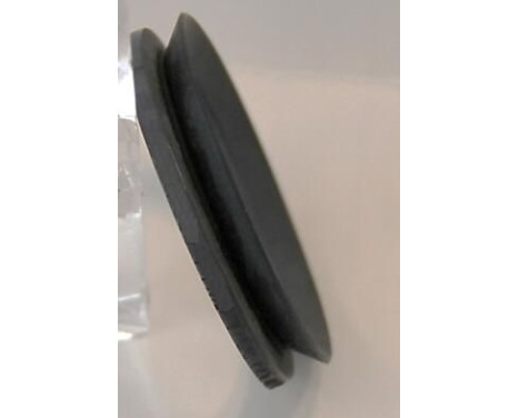 Sealing ring
