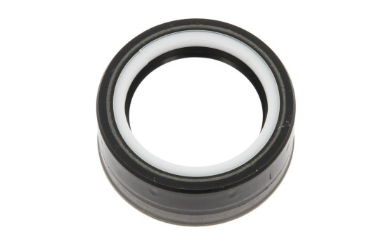 Sealing ring