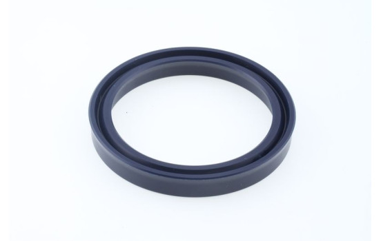 Sealing ring, Image 2