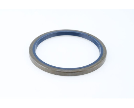 Sealing ring, Image 2