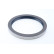 Sealing ring