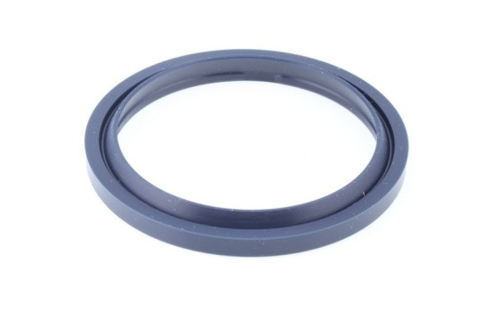 Sealing ring, Image 3