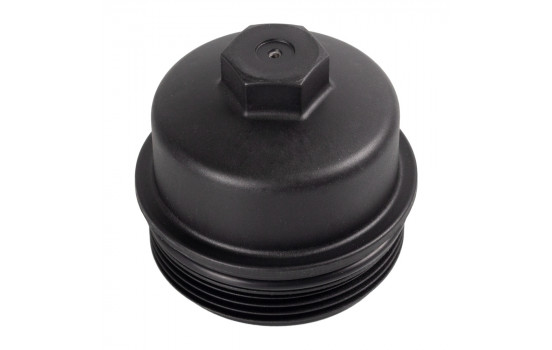 Cap, oil filter housing