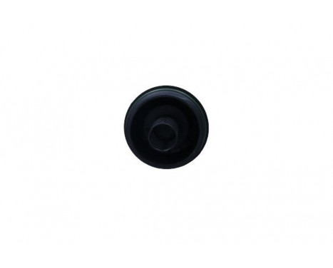 Cap, oil filter housing