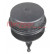 Cap, oil filter housing