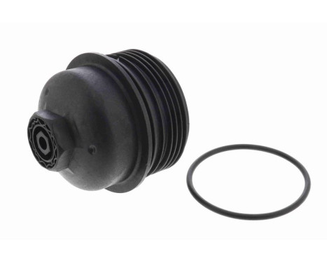 Cover, oil filter housing