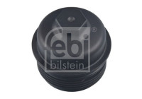 Cover, oil filter housing
