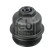 Cover, oil filter housing