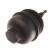 Cover, oil filter housing, Thumbnail 2