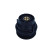 Cover, oil filter housing
