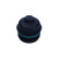 Cover, oil filter housing