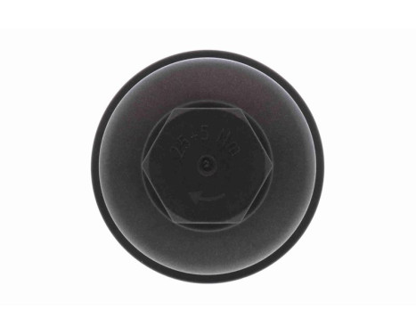 Cover, oil filter housing, Image 5