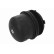 Cover, oil filter housing, Thumbnail 2