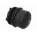Cover, oil filter housing, Thumbnail 6