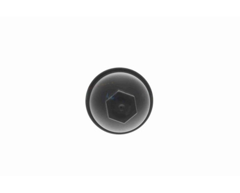 Cover, oil filter housing, Image 12