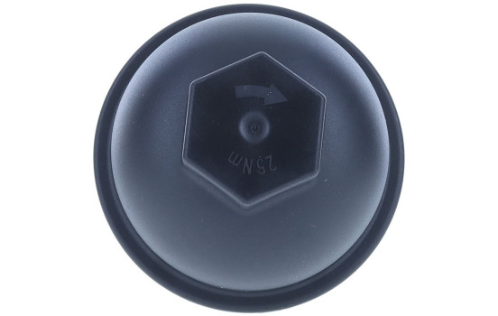 Cover, oil filter housing, Image 4