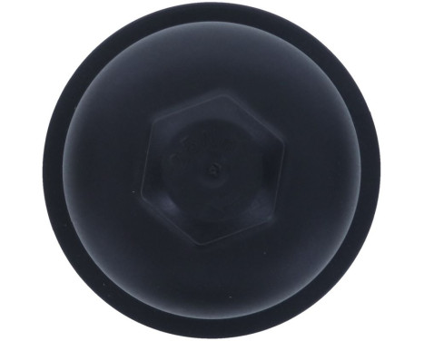 Cover, oil filter housing, Image 7