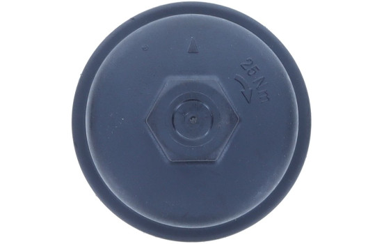 Cover, oil filter housing, Image 7