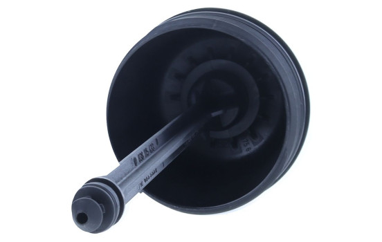 Cover, oil filter housing, Image 2