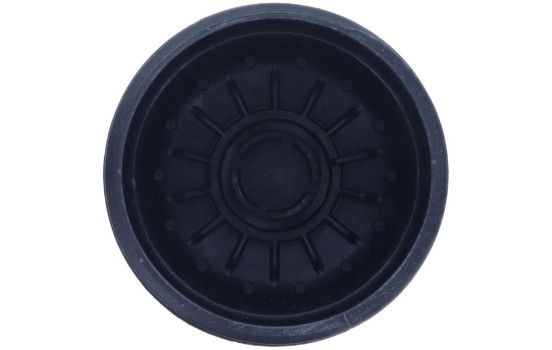 Cover, oil filter housing, Image 3