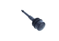 Cover, oil filter housing
