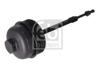 Cover, oil filter housing