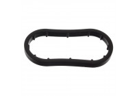 Gasket, oil filter housing