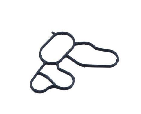 Gasket, oil filter housing