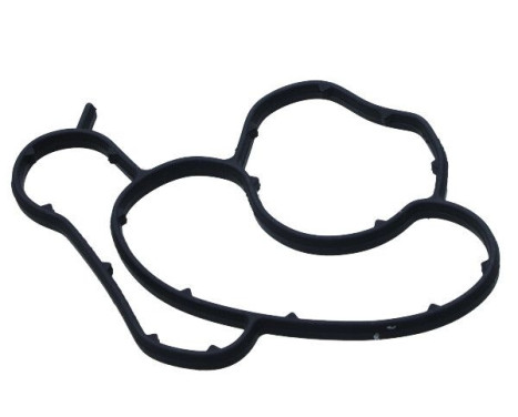 Gasket, oil filter housing