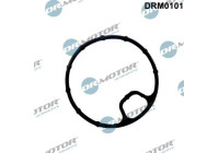 Gasket, oil filter housing