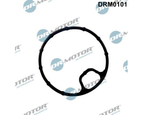 Gasket, oil filter housing