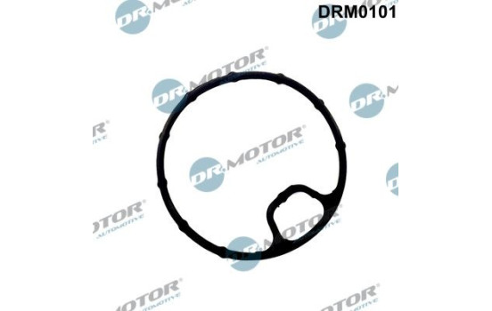 Gasket, oil filter housing
