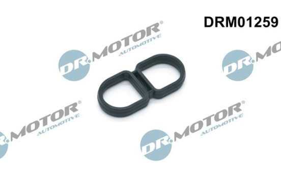 Gasket, oil filter housing