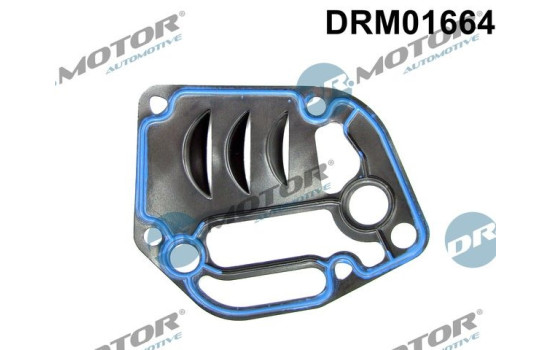Gasket, oil filter housing