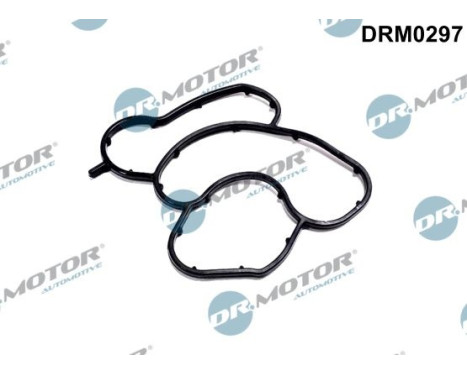 Gasket, oil filter housing