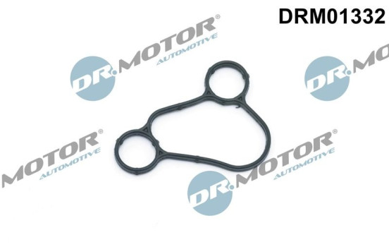 Gasket, oil filter housing