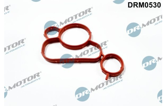 Gasket, oil filter housing