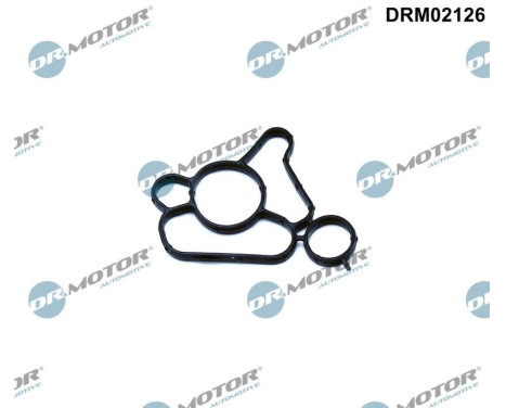 Gasket, oil filter housing