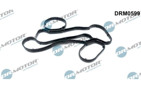 Gasket, oil filter housing