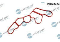 Gasket, oil filter housing