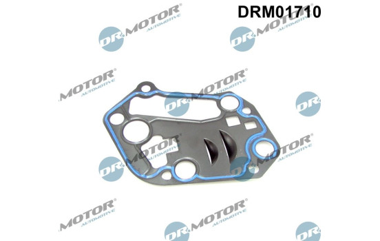 Gasket, oil filter housing