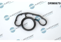 Gasket, oil filter housing