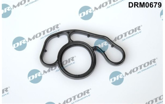 Gasket, oil filter housing