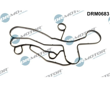 Gasket, oil filter housing