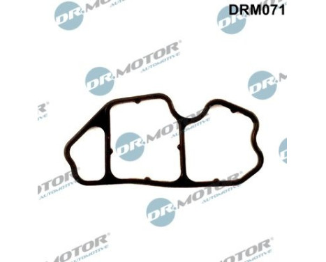 Gasket, oil filter housing
