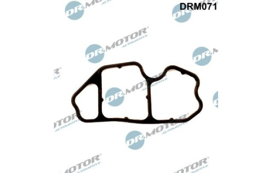 Gasket, oil filter housing