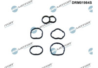 Gasket, oil filter housing