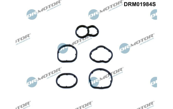 Gasket, oil filter housing